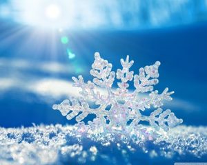 School Closure Due to Snow